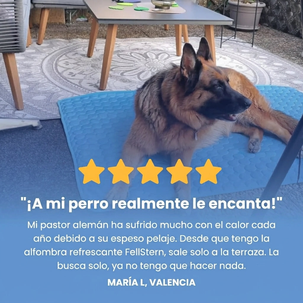 Woofie™ - La innovadora colchoneta refrigerante para perros